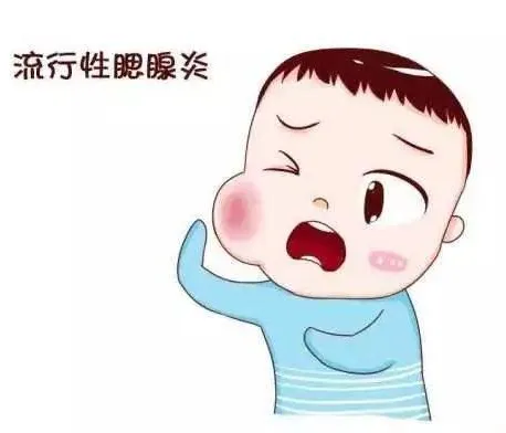 大众科普|发现腮帮子肿大,警惕流行性腮腺炎! 大众科普|发现腮帮子肿大,警惕流行性腮腺炎!