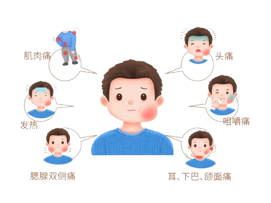 大众科普|发现腮帮子肿大,警惕流行性腮腺炎! 大众科普|发现腮帮子肿大,警惕流行性腮腺炎!