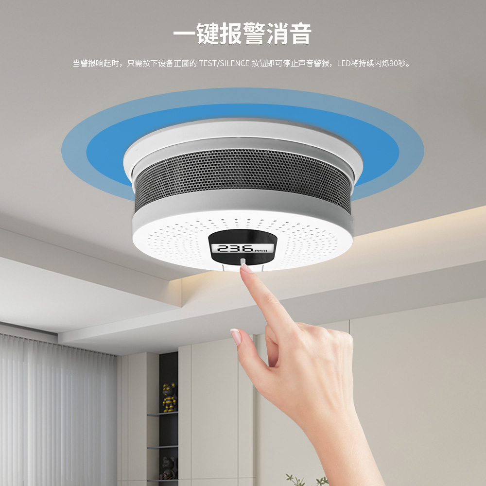 烟雾和一氧化碳报警器