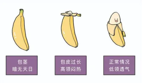 大众科普|又到“包皮季”,男童包皮割还是不割? 大众科普|又到“包皮季”,男童包皮割还是不割?