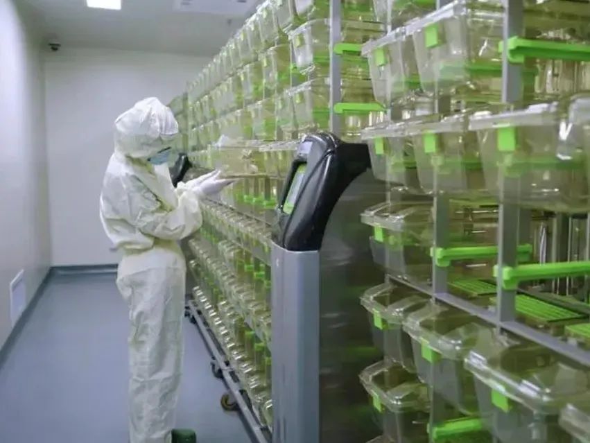 实验动物环境设施的不同指标要求如何检测？