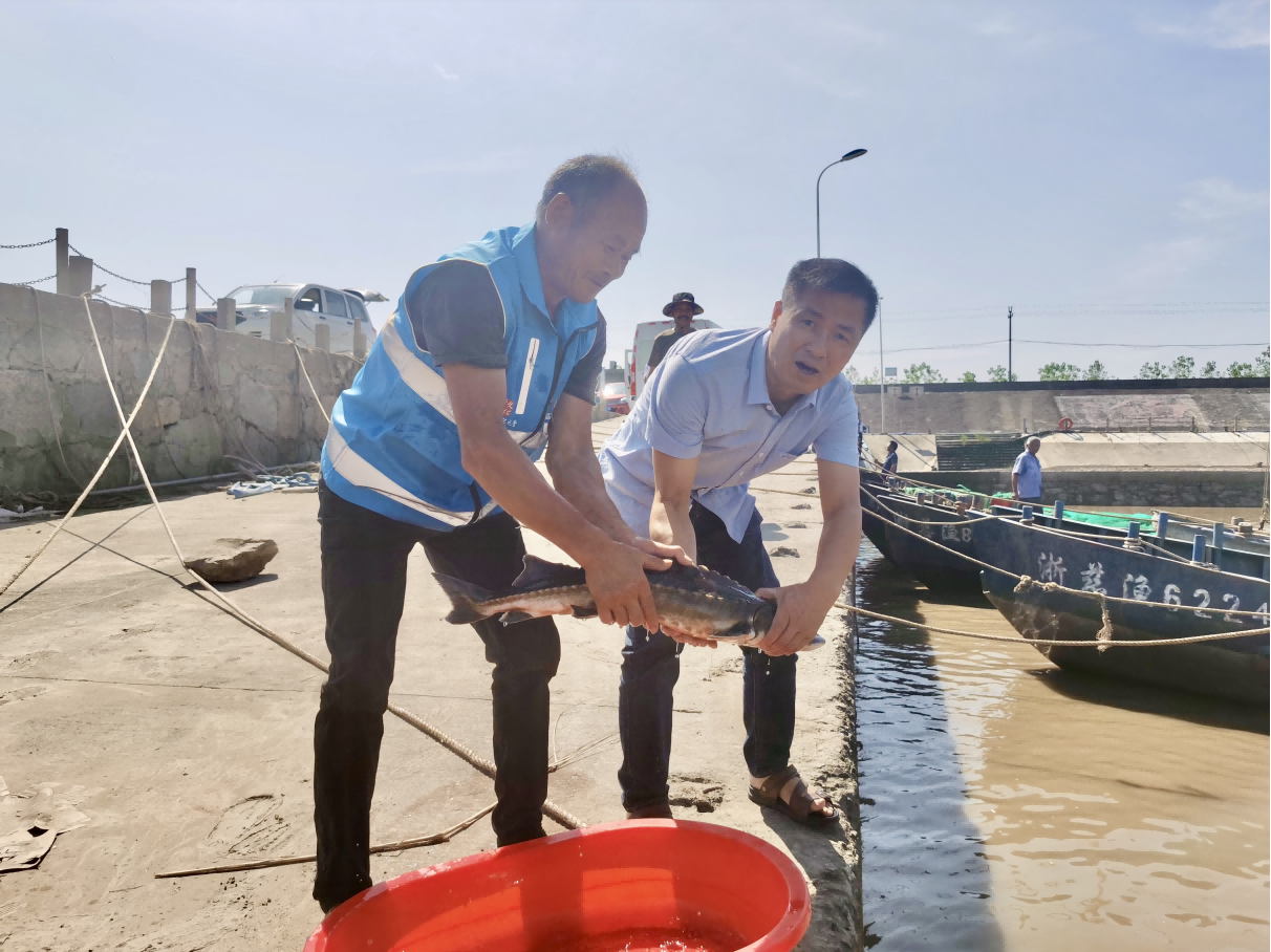 生物多样性专栏 | 余姚市渔民十年守护“水中大熊猫”——中华鲟