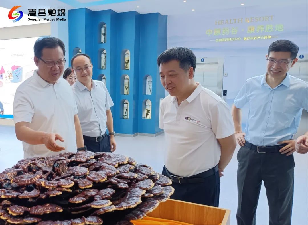 粤澳中医药科技产业园董事长吴松到嵩县调研 粤澳中医药科技产业园董事长吴松到嵩县调研