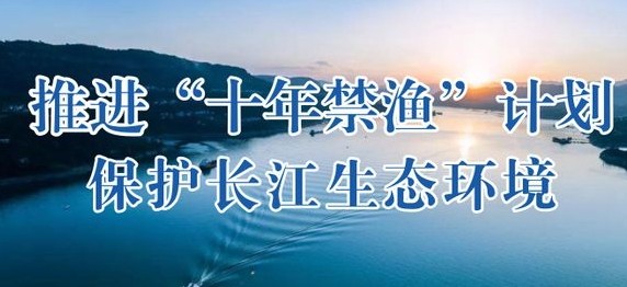 长江十年禁渔保持高压严管态势，上半年禁捕管理秩序总体平稳