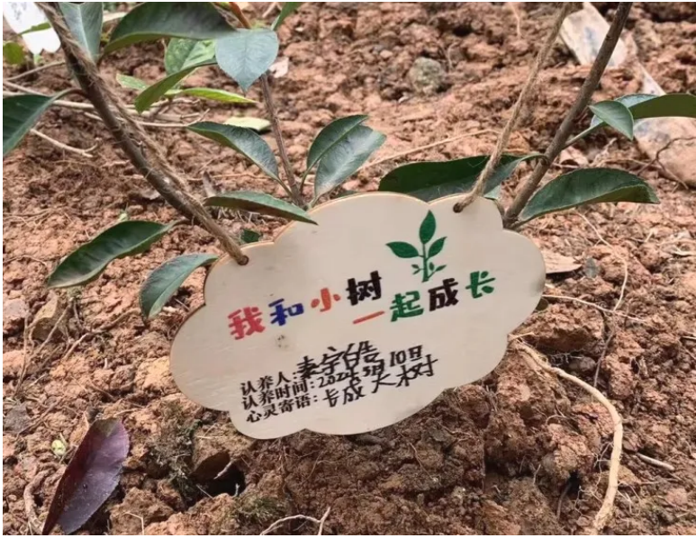 植树节 | 为园区绿意充“植”