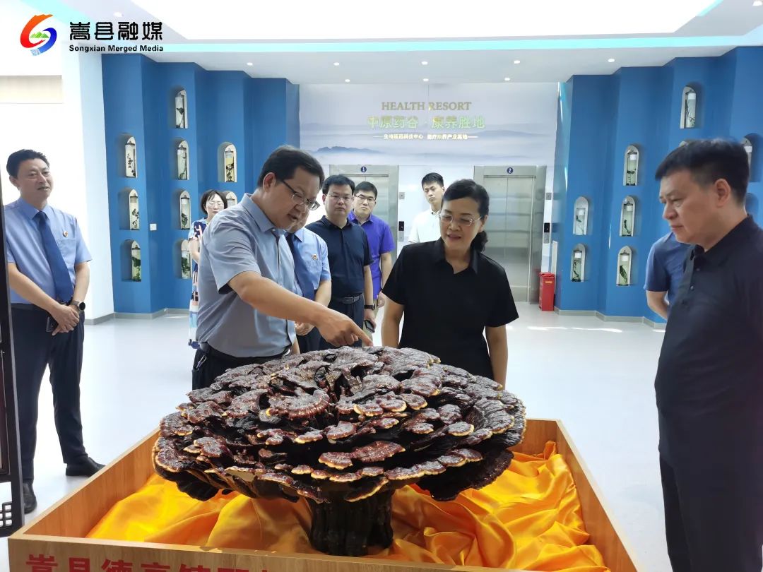 洛阳市人民检察院党组书记、检察长封勇到嵩县调研 洛阳市人民检察院党组书记、检察长封勇到嵩县调研