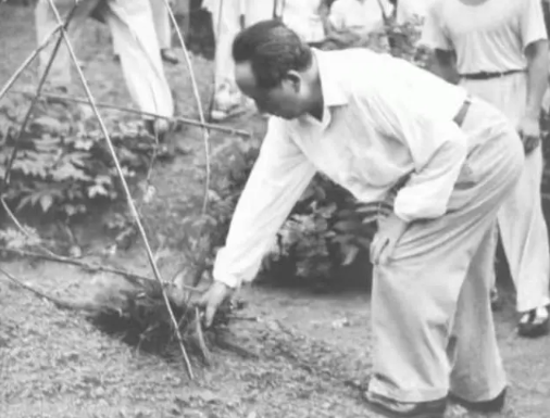 76年毛主席病重,躺在病床上含泪嘱咐李敏:有件事你要帮我去办 76年毛主席病重,躺在病床上含泪嘱咐李敏:有件事你要帮我去办