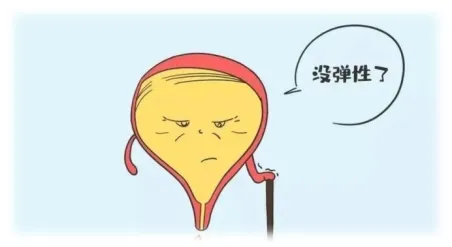 关爱女性,乐享健康 --- 妇科盆底修复 关爱女性,乐享健康 --- 妇科盆底修复