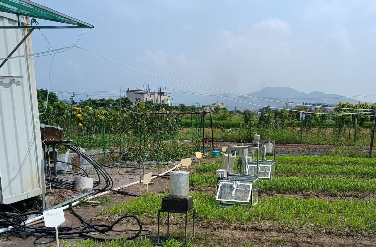 厦门 中国科学院城市环境研究所 SF3500