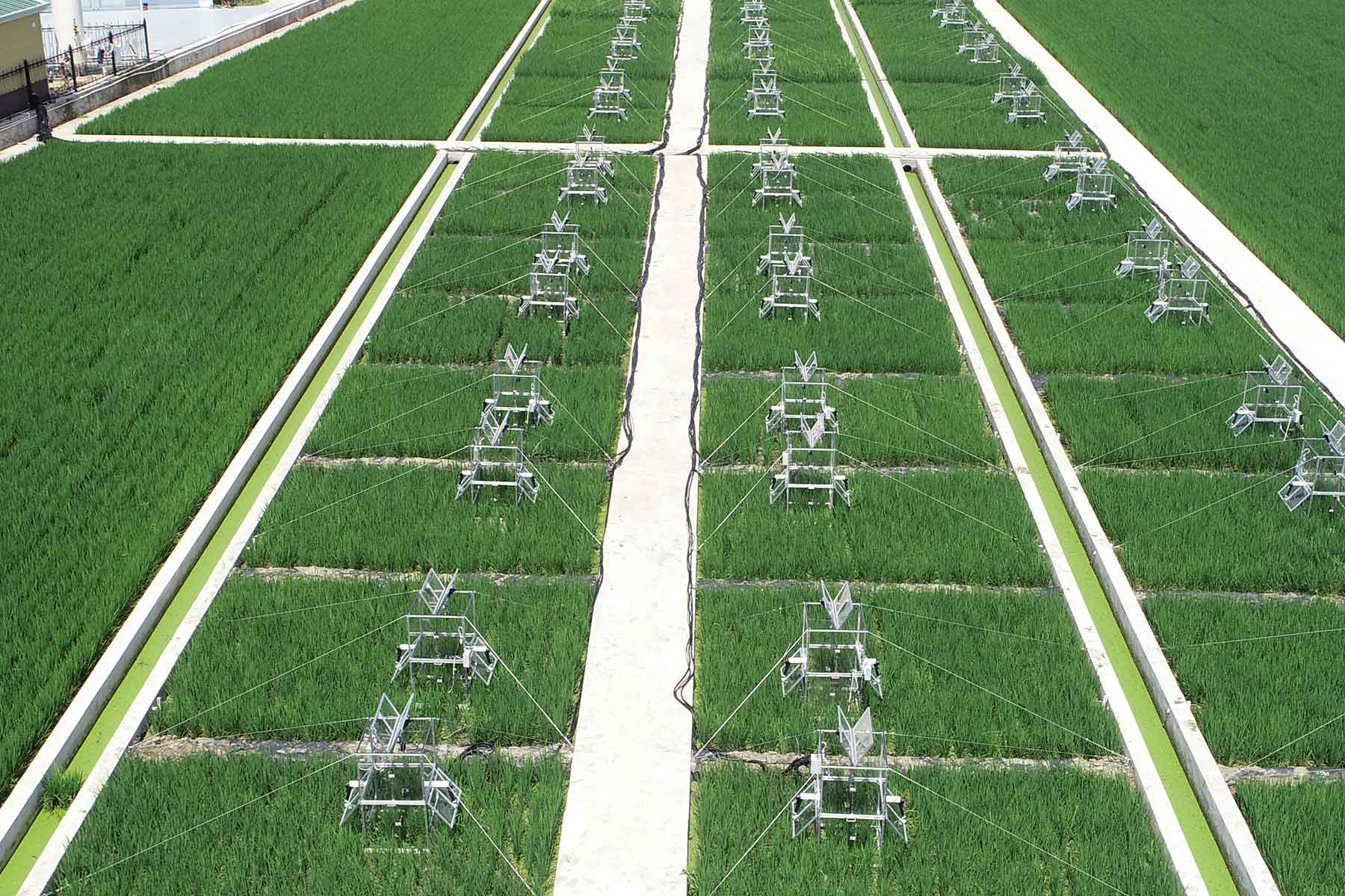 南京农业大学如皋实验基地CO2、CH4、N2O大型群落同化箱通量测量系统
