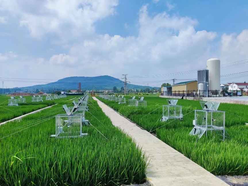 南京农业大学如皋实验基地CO2、CH4、N2O大型群落同化箱通量测量系统