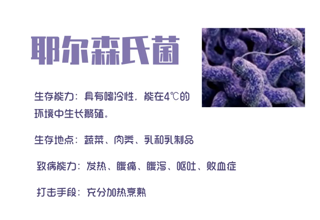 高烧39℃!腹泻30次!竟是家中 高烧39℃!腹泻30次!竟是家中