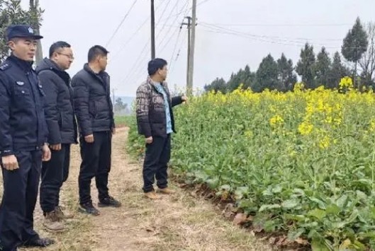 当前自然资源执法面临的六大难题