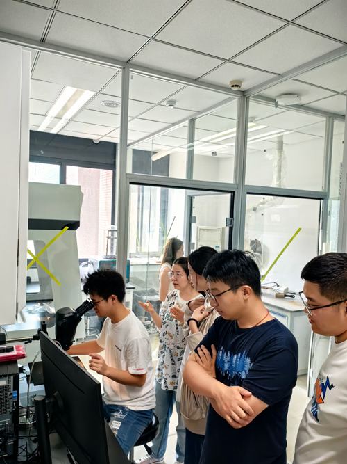 南京大学RINNTECH树木年轮分析仪