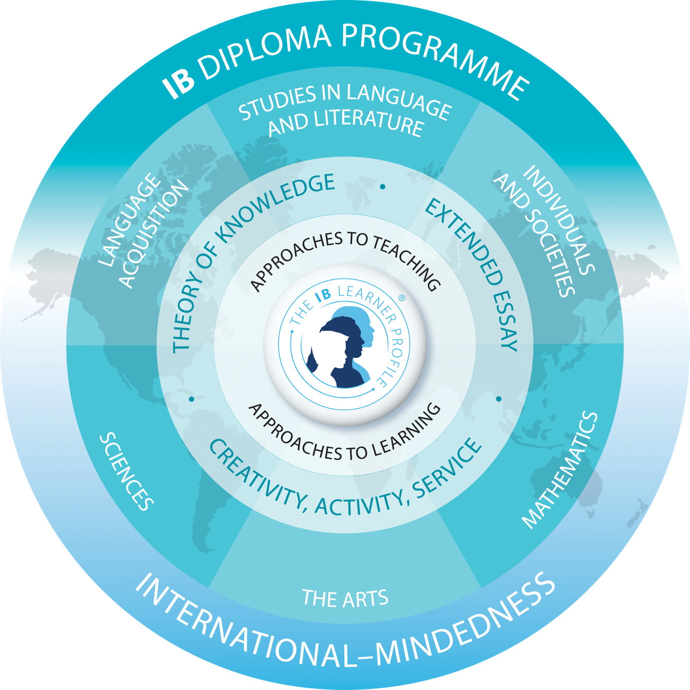 The Structure of DP