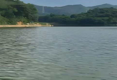 郴州航評，郴州市通航安全保障方案，通航安全評價