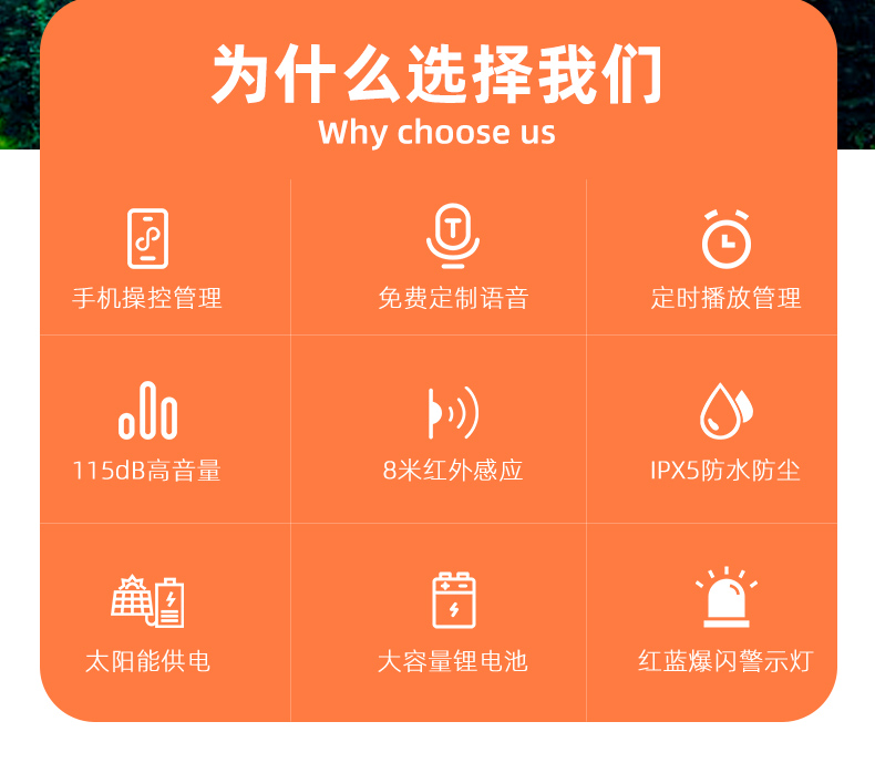 WT-WS6太阳能声光语音报警器
