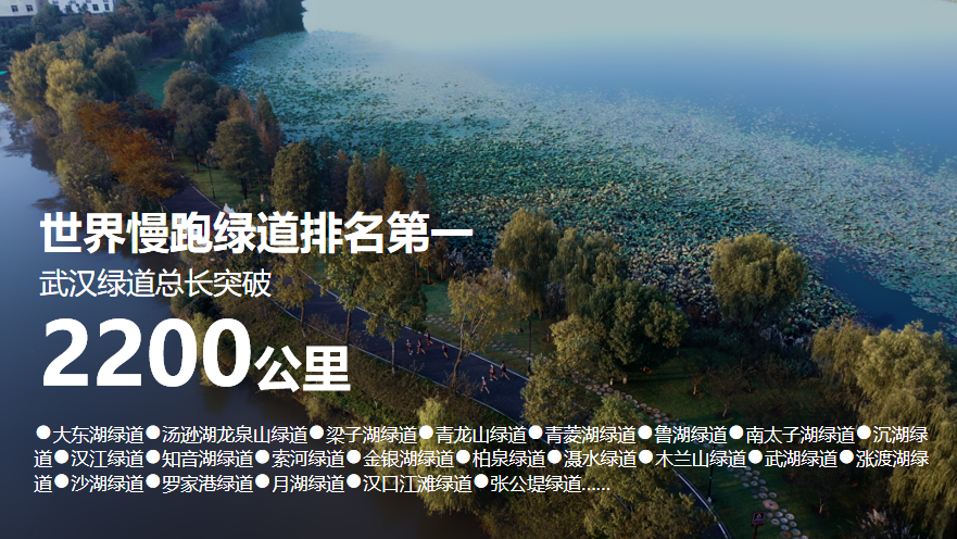 武汉市路跑协会2024启动大会在鄂港澳青创园顺利召开 武汉市路跑协会2024启动大会在鄂港澳青创园顺利召开
