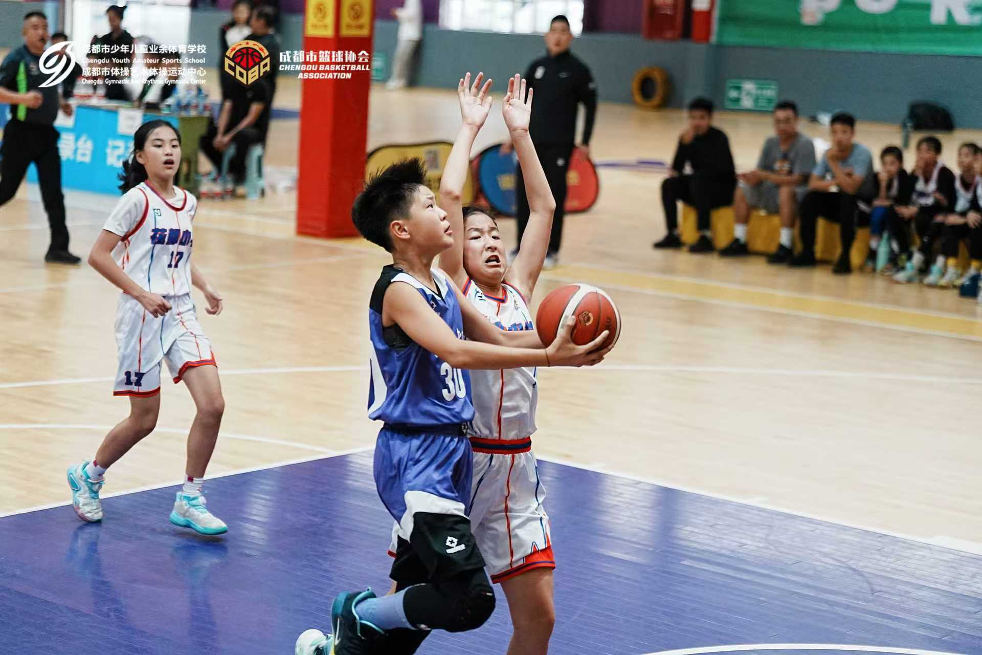 大比分拿下对手!新川小学生捧走全市篮球冠军 大比分拿下对手!新川小学生捧走全市篮球冠军