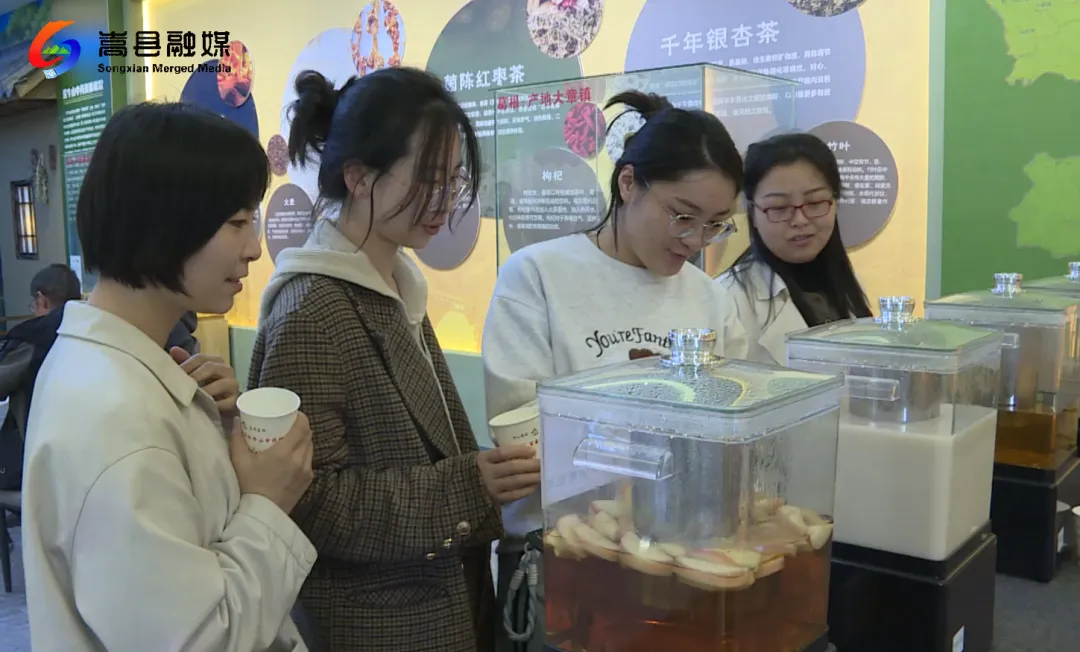 省茶文化研究会茶药研究专业委员会 孟诜文化研究会挂牌成立 省茶文化研究会茶药研究专业委员会 孟诜文化研究会挂牌成立