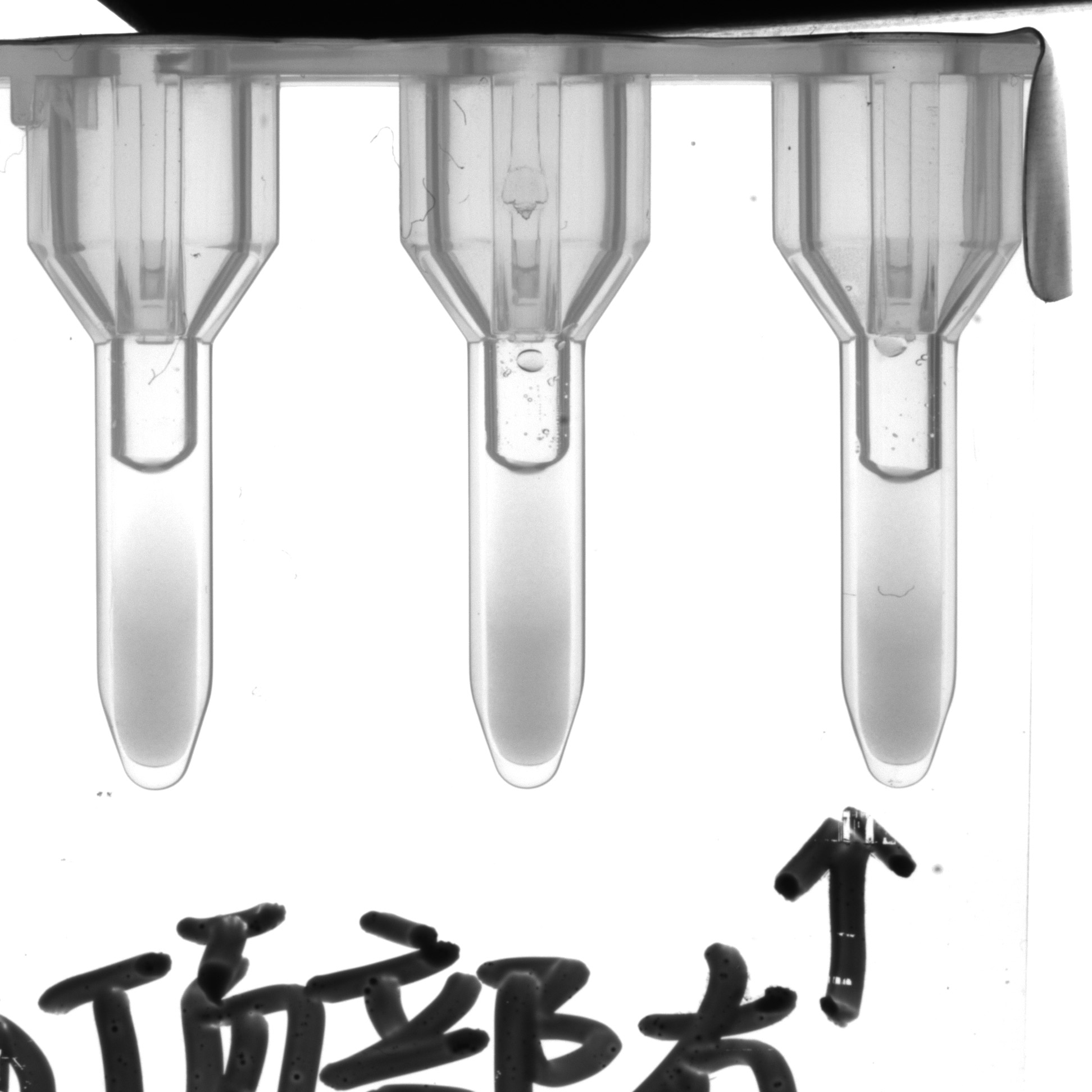 试剂异物检测