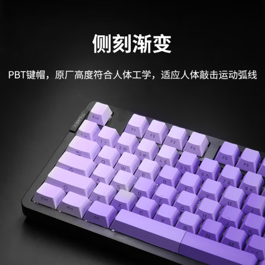 达尔优EK87pro三模机械键盘侧刻-紫色