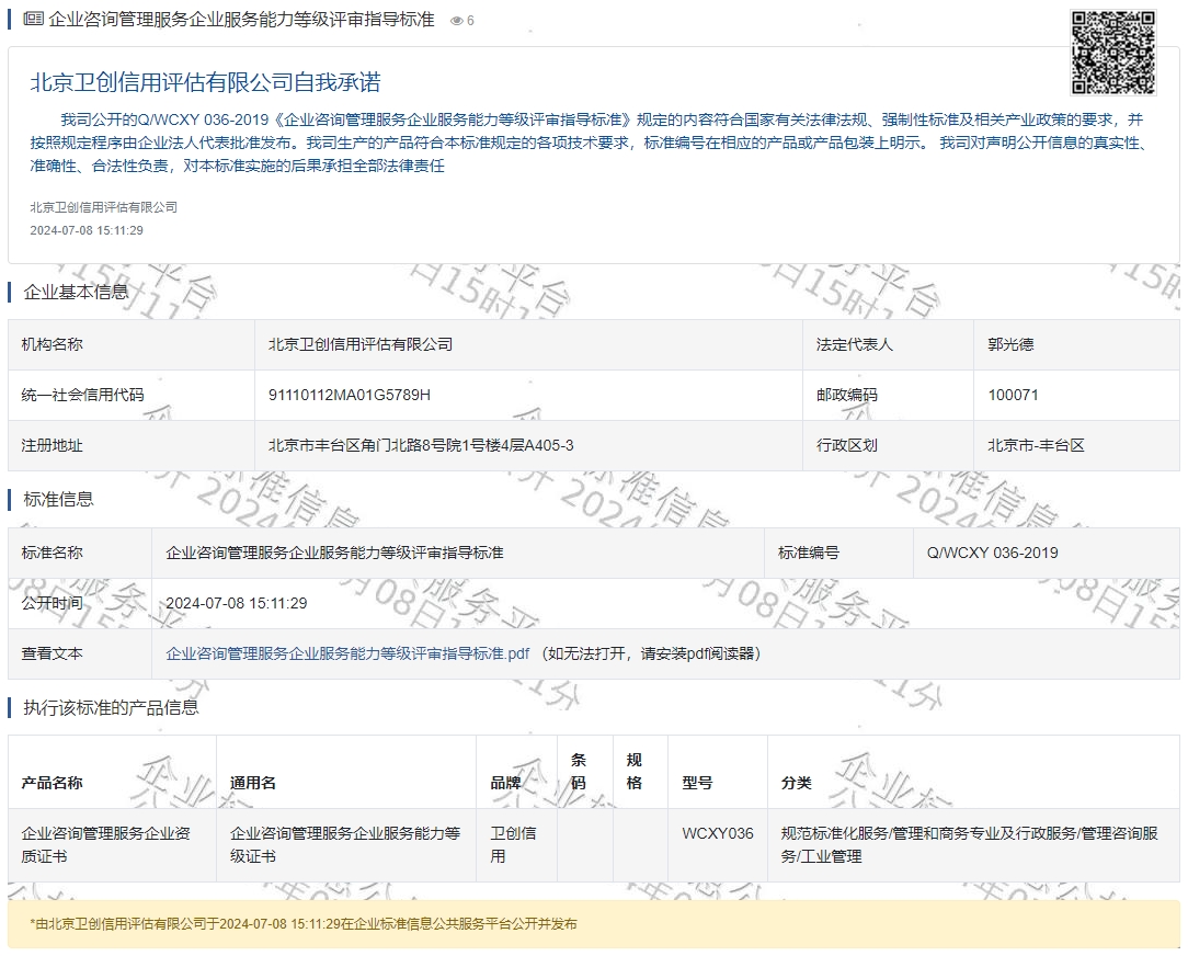 企业咨询管理服务企业服务能力等级评审指导标准