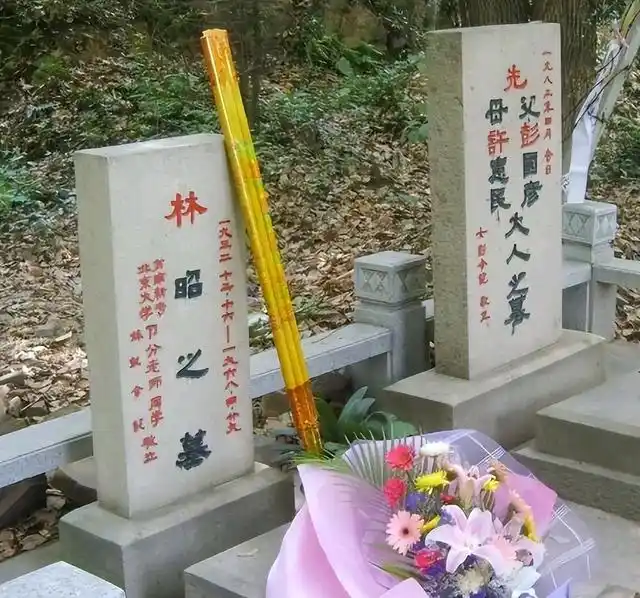 林昭死后父亲服药自杀,母亲精神失常,还要被索要5分钱的子弹费 林昭死后父亲服药自杀,母亲精神失常,还要被索要5分钱的子弹费