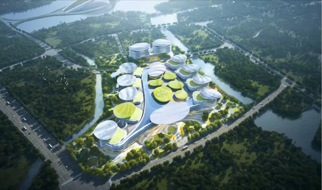祥和之城，祥“荷”医院|浙江大学医学院附属第二医院嘉兴医院项目