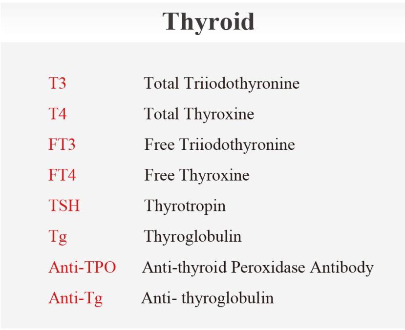 Interfering factors in thyroid hormones and function tests Interfering factors in thyroid hormones and function tests