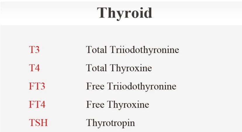 Interfering factors in thyroid hormones and function tests Interfering factors in thyroid hormones and function tests