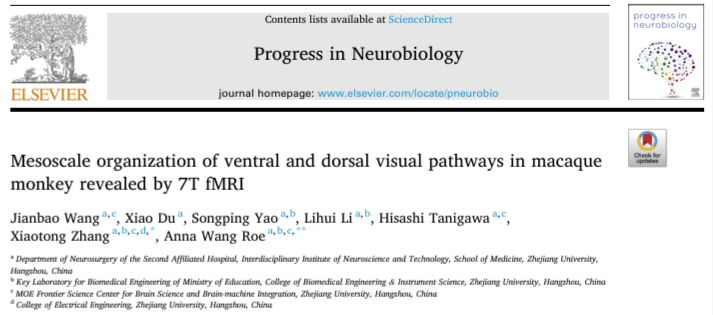 【文章分享】脑功能视听觉刺激系统助力揭示猕猴视觉通路