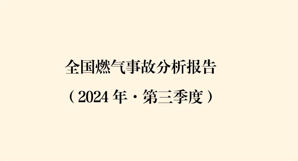 ȫȼ¹ʷ棬2024