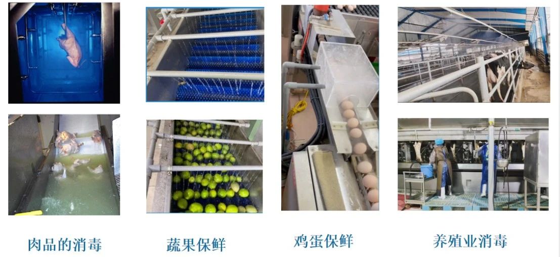 “科技引领健康生活” 2025中关村品牌工程产品推介周盛大启航