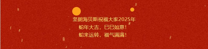 2025-开工大吉! 2025-开工大吉!