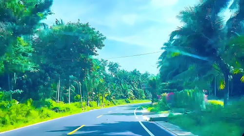 自然綠色原生態(tài) 放飛心靈海南游 自然綠色原生態(tài) 放飛心靈海南游