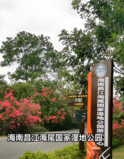 自然綠色原生態(tài) 放飛心靈海南游 自然綠色原生態(tài) 放飛心靈海南游