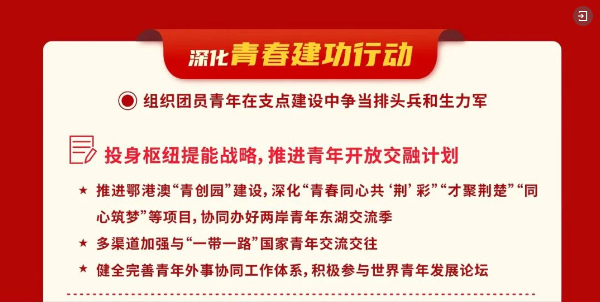 “鄂港澳青创园建设工作”写入省共青团工作实施意见