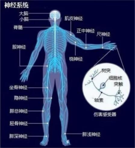 高压氧科 高压氧科