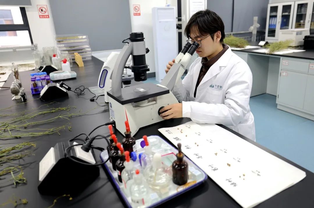 河南省科学院中原药谷科创园：中医药产业创新新引擎