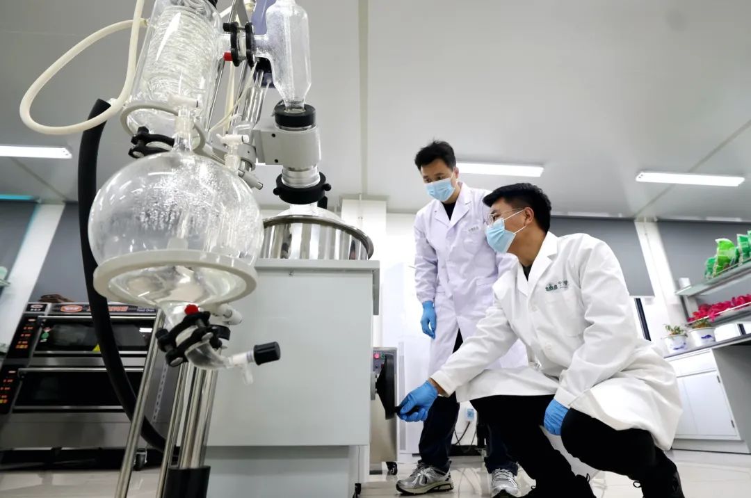 河南省科学院中原药谷科创园：中医药产业创新新引擎