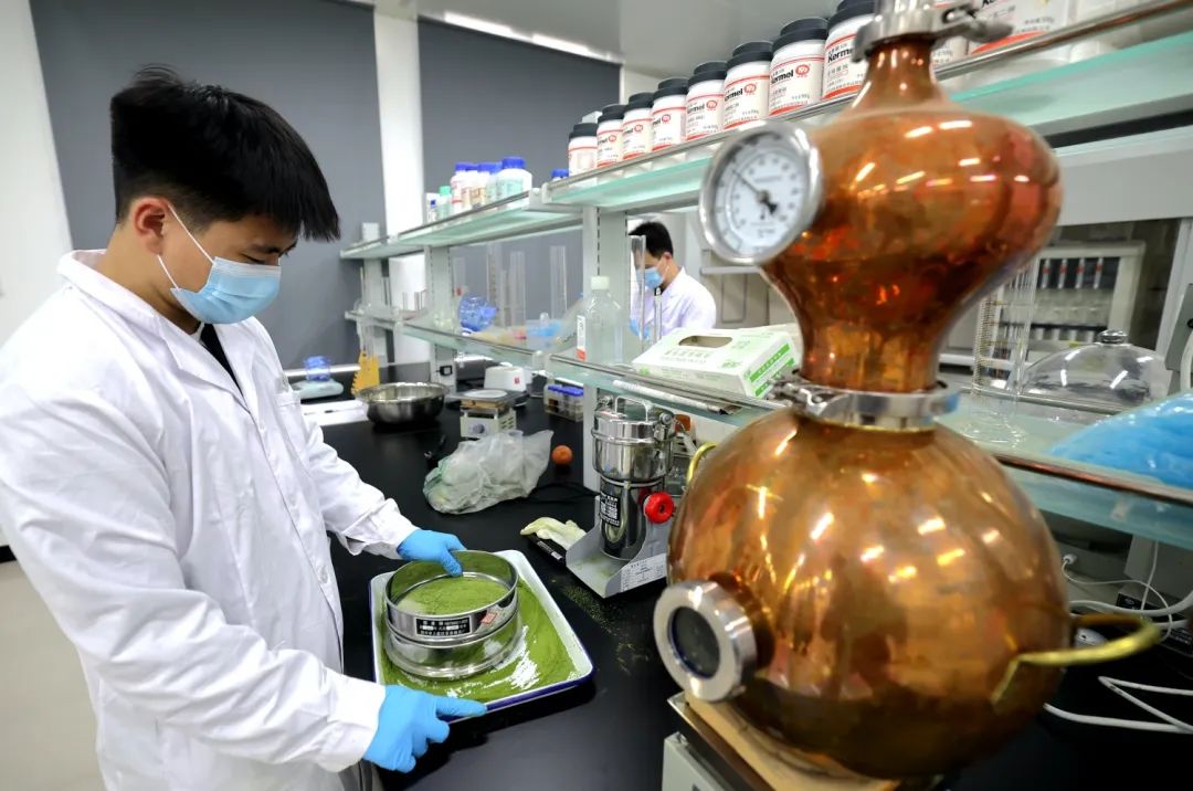 河南省科学院中原药谷科创园：中医药产业创新新引擎
