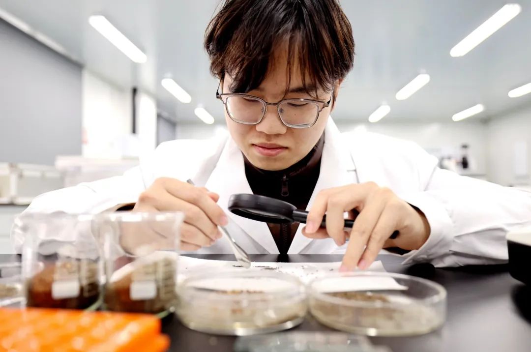 河南省科学院中原药谷科创园：中医药产业创新新引擎