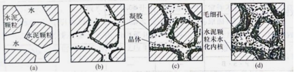 扫描电镜在混凝土微观结构分析中的应用 扫描电镜在混凝土微观结构分析中的应用