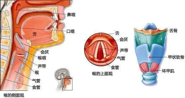 【育聪】孩子有功能性构音障碍？那就照着这个练吧！