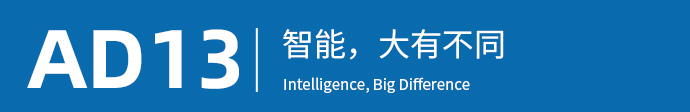 AD13智能门锁