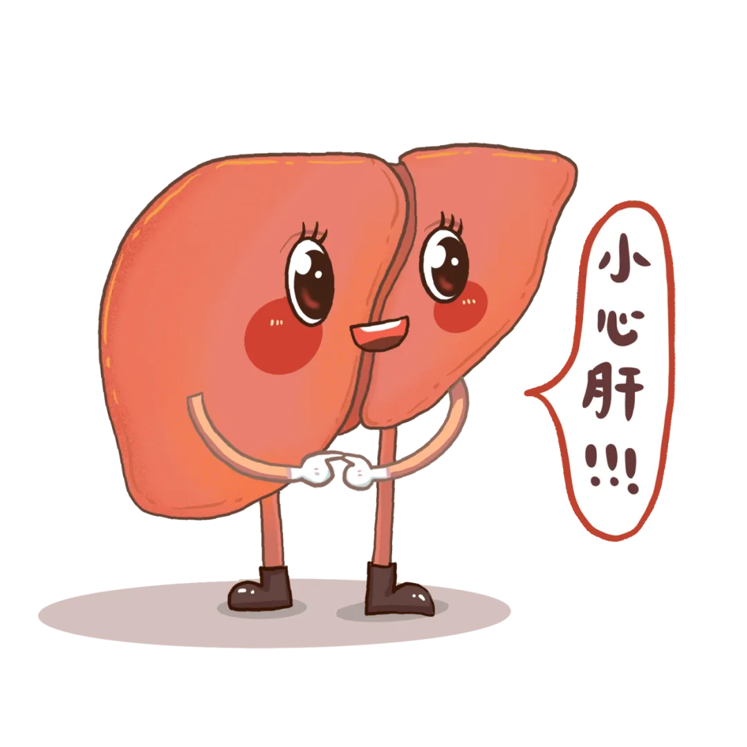 全国爱肝日|守护肝脏从了解它开始