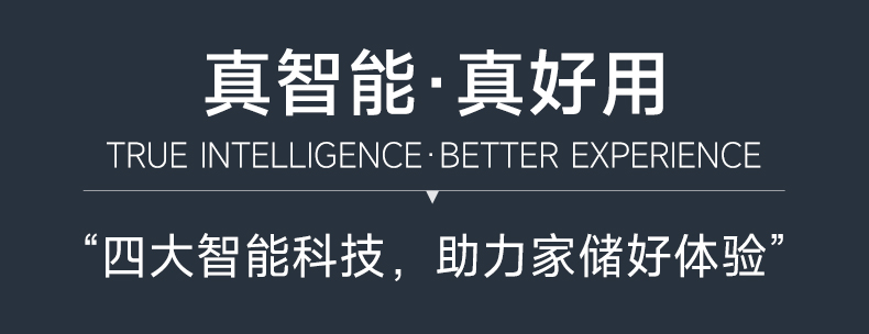 达锂BMS | 主动均衡家储保护板｜1A主动均衡｜100A/150A｜8~16S｜24V/48S｜云平台+三端智控｜逆变器全兼容