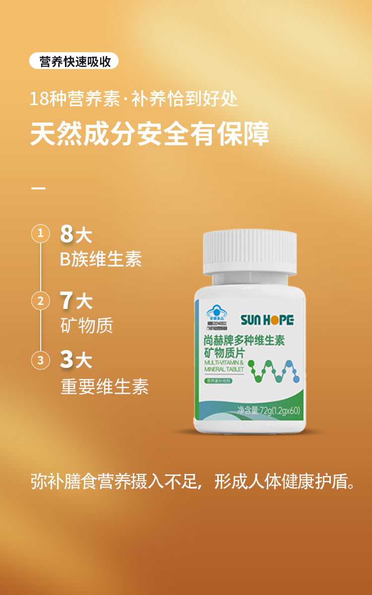 尚赫牌多种维生素矿物质片