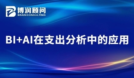 BI+AI在支出分析中的应用